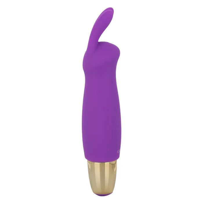 Slay BuzzMe CalExotics Vibrators