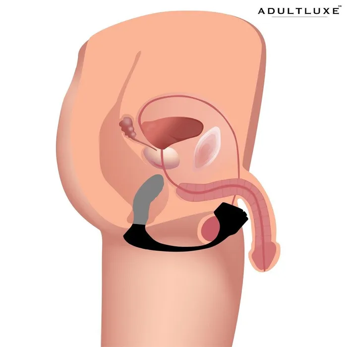 XR Brands Male Sex Toys Trinity Vibes 7x Silicone Prostate Plug With Ball Stretcher And Remote