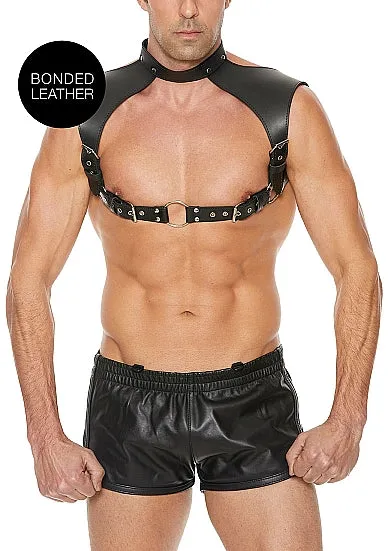 SHOTS Female Sex Toys OUCH MENS HARNESS WITH NECK COLLAR