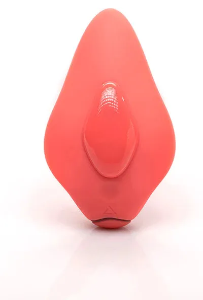 Traveling Tickle Trunk Vibrators Clandestine Companion